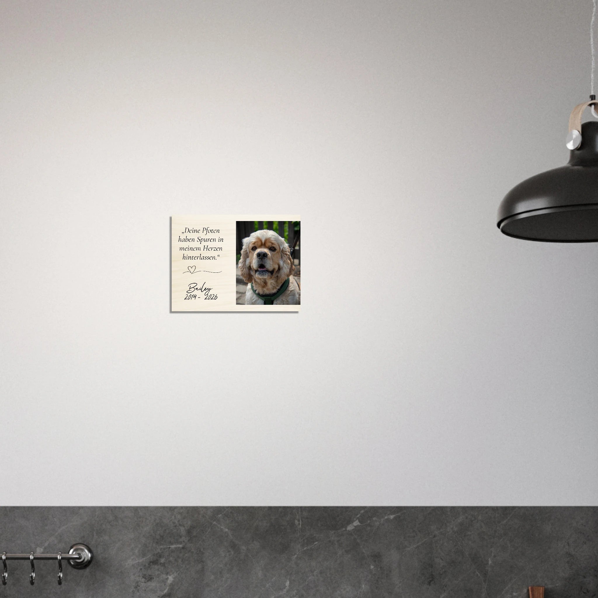 01edd6e3-b161-484f-bdad-faeb9058964a