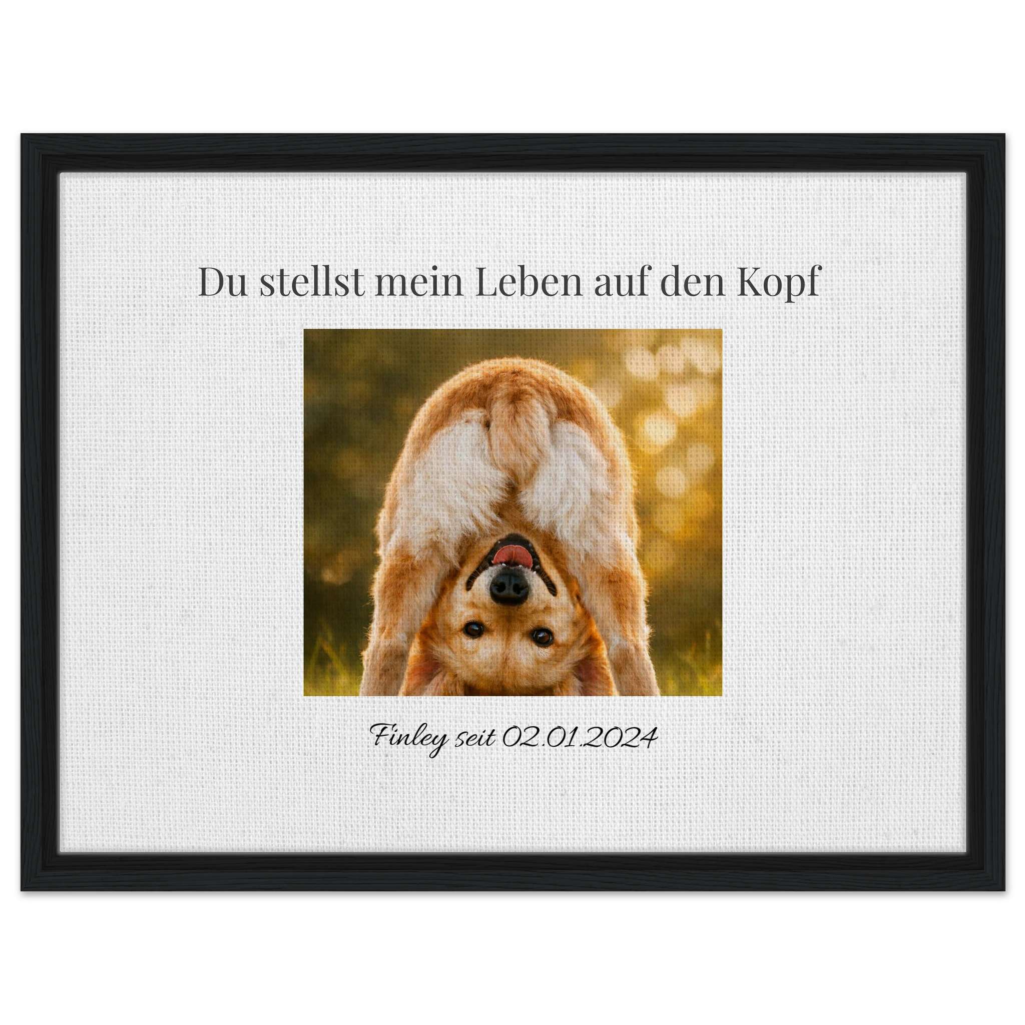 06fa3ded-0f5d-4294-ad76-e9b4c8ae930b