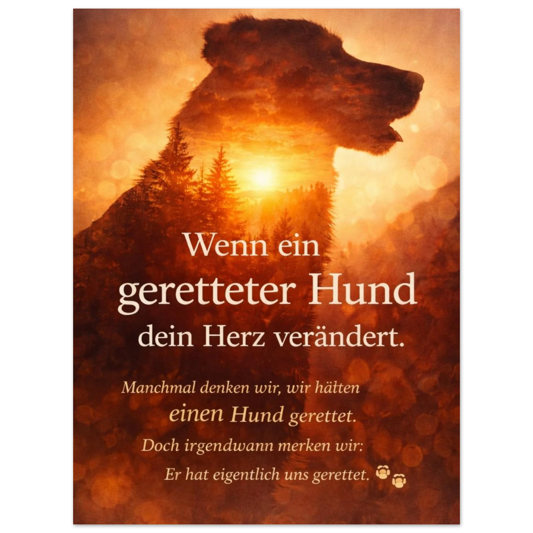 14f3c394-ae3f-4f77-b719-ed95a249a249