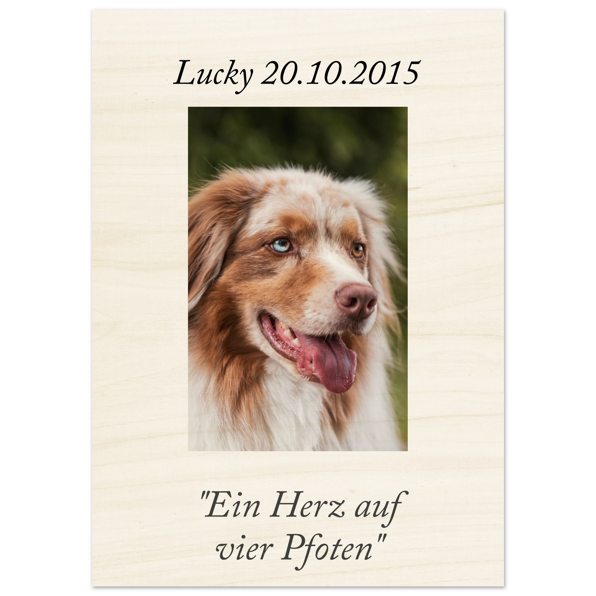 199aa4ba-61c4-4215-89a1-d2616118a497