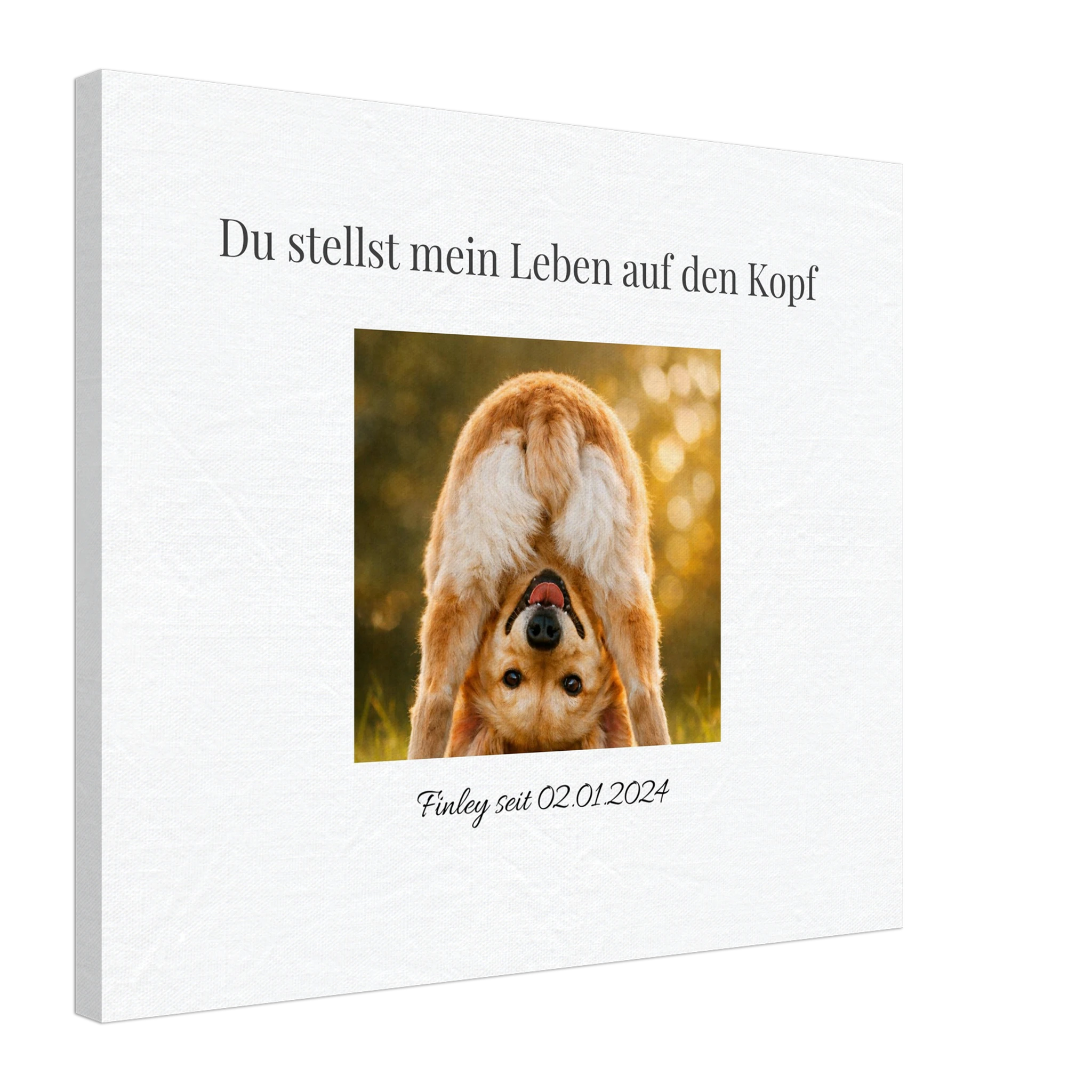 1e3733be-4e17-4b58-b9a1-4aceab4ab128