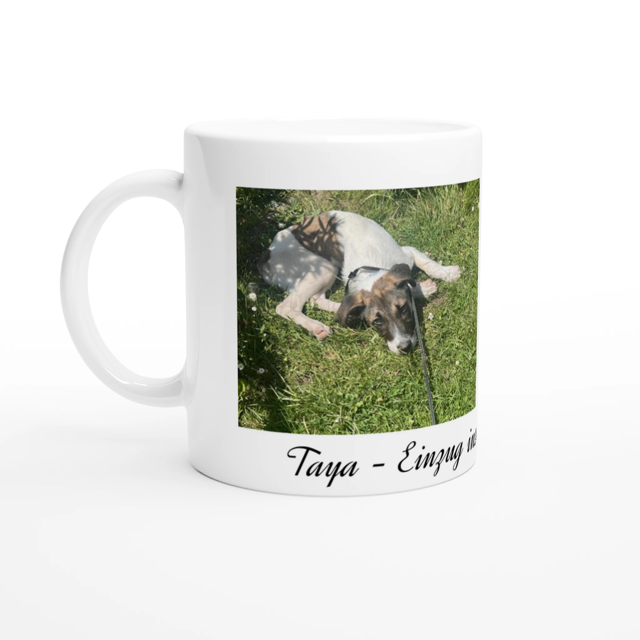 3029a86c-ecef-44ca-ba0a-34fe0178be33