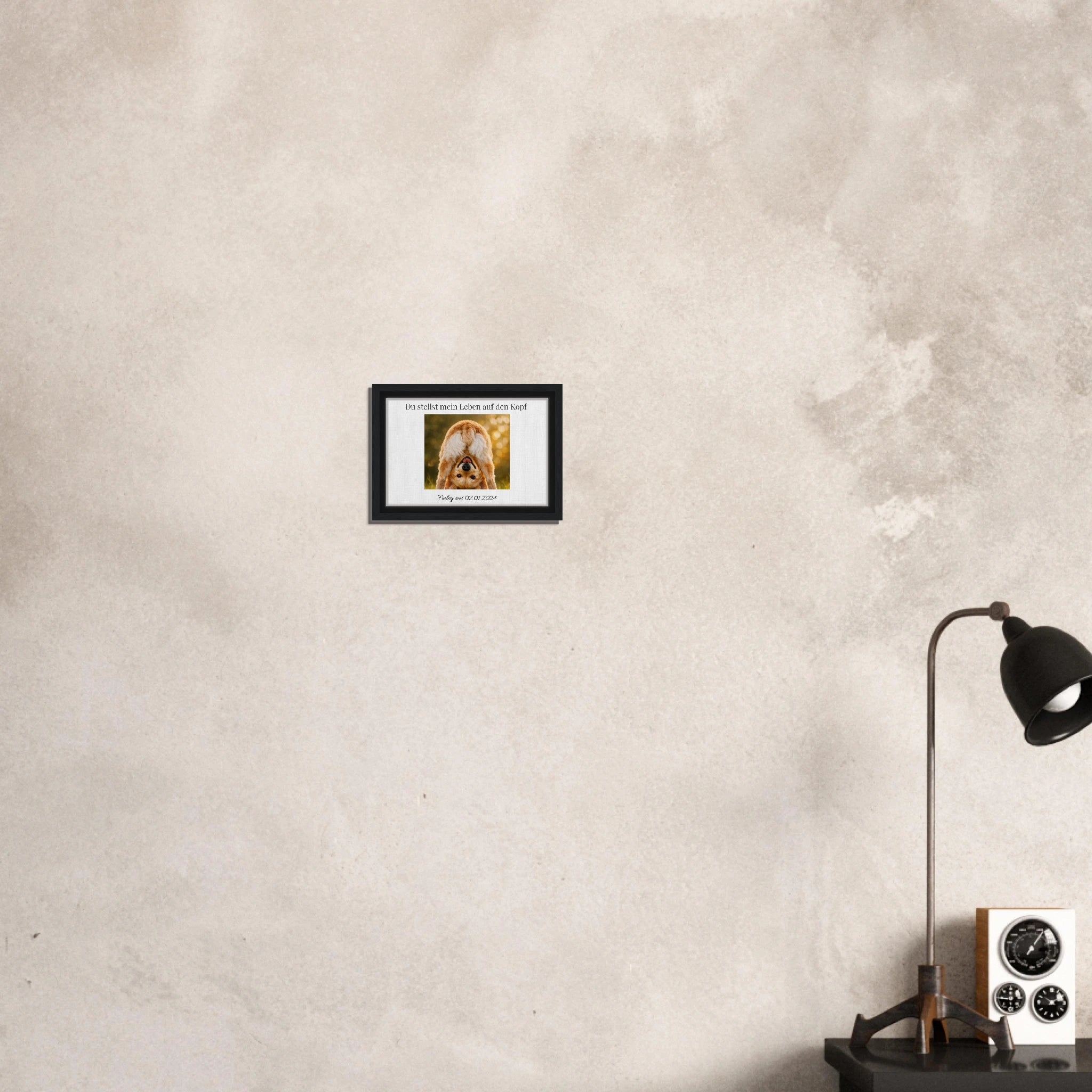 30afa9b2-b748-4967-9b84-66b24d1a662c