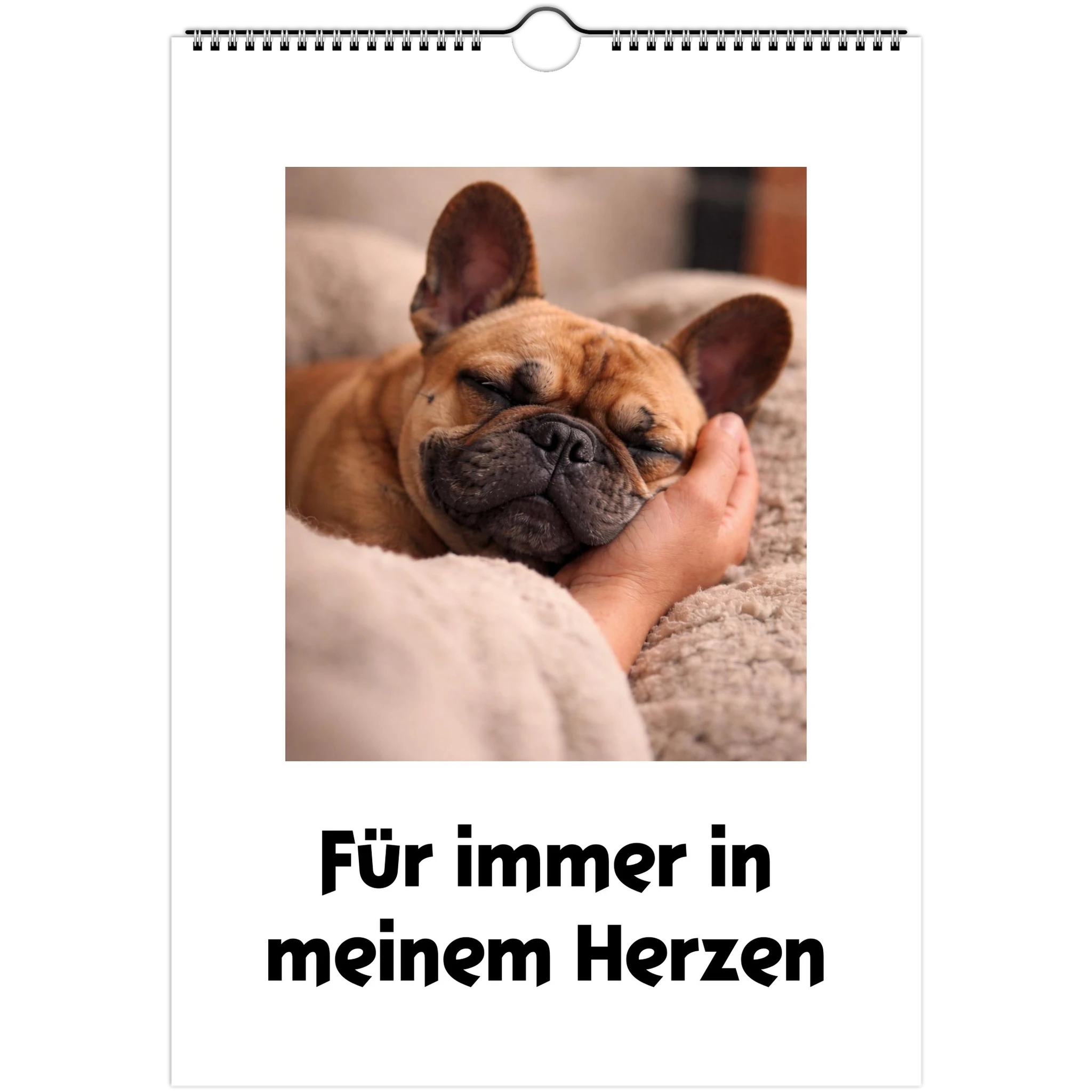 394290b8-fb12-4b71-b656-d3ef895d056b