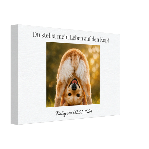 43f004b6-6a20-4af8-b25c-62d53e947d9d