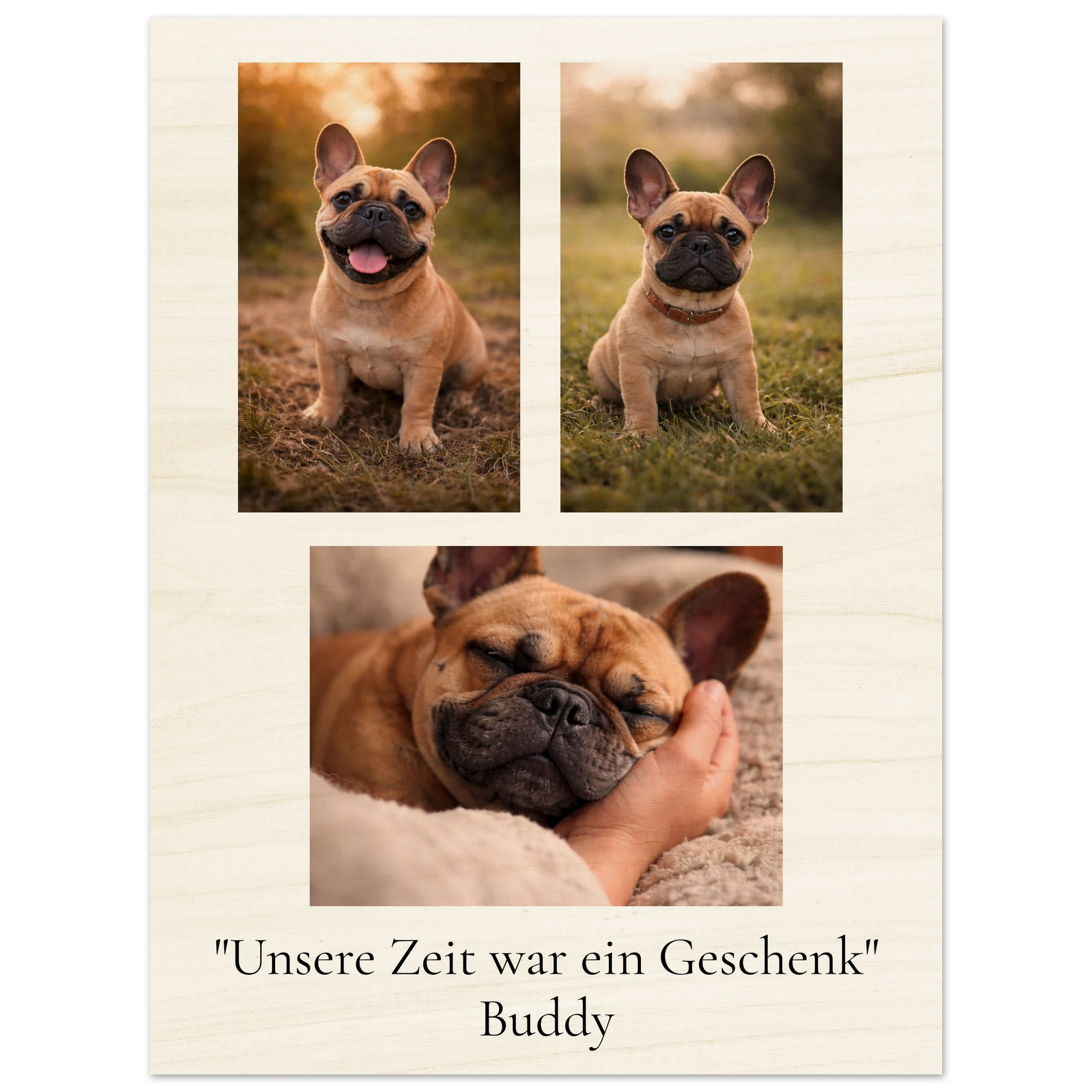 45ed2b36-45f8-47fe-bf60-5b6956d96908