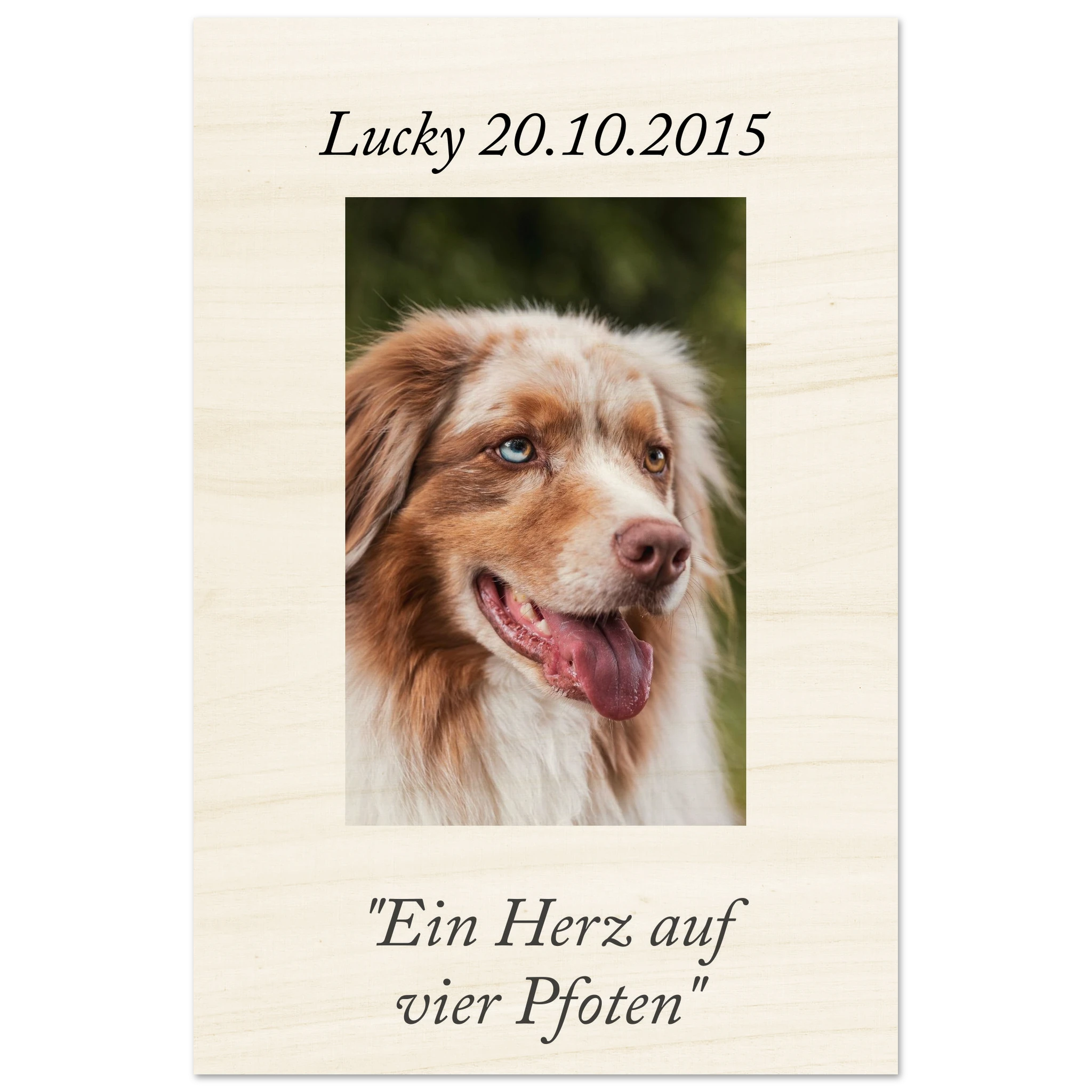 483a38de-d67c-480a-b78d-eab8ffc9200f