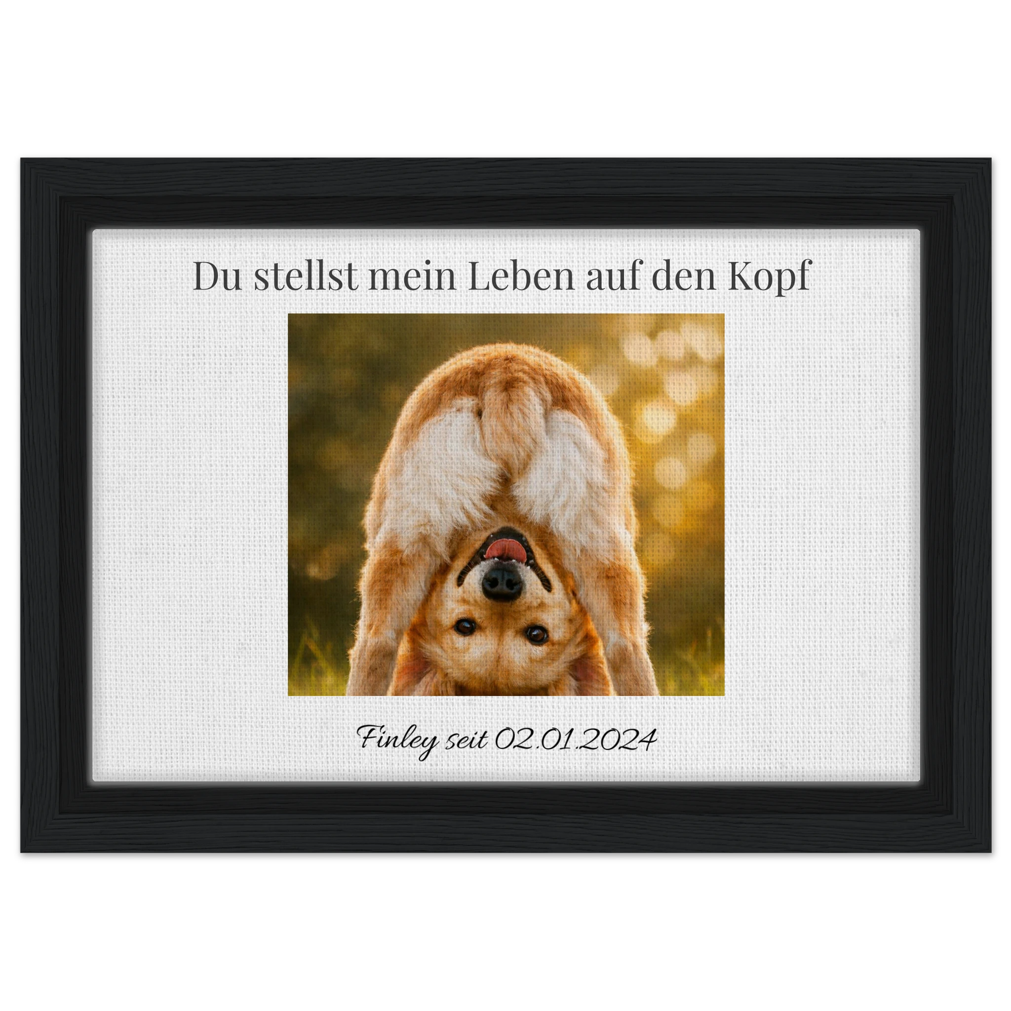 5132bfca-e30e-45a5-8700-526183430bf5