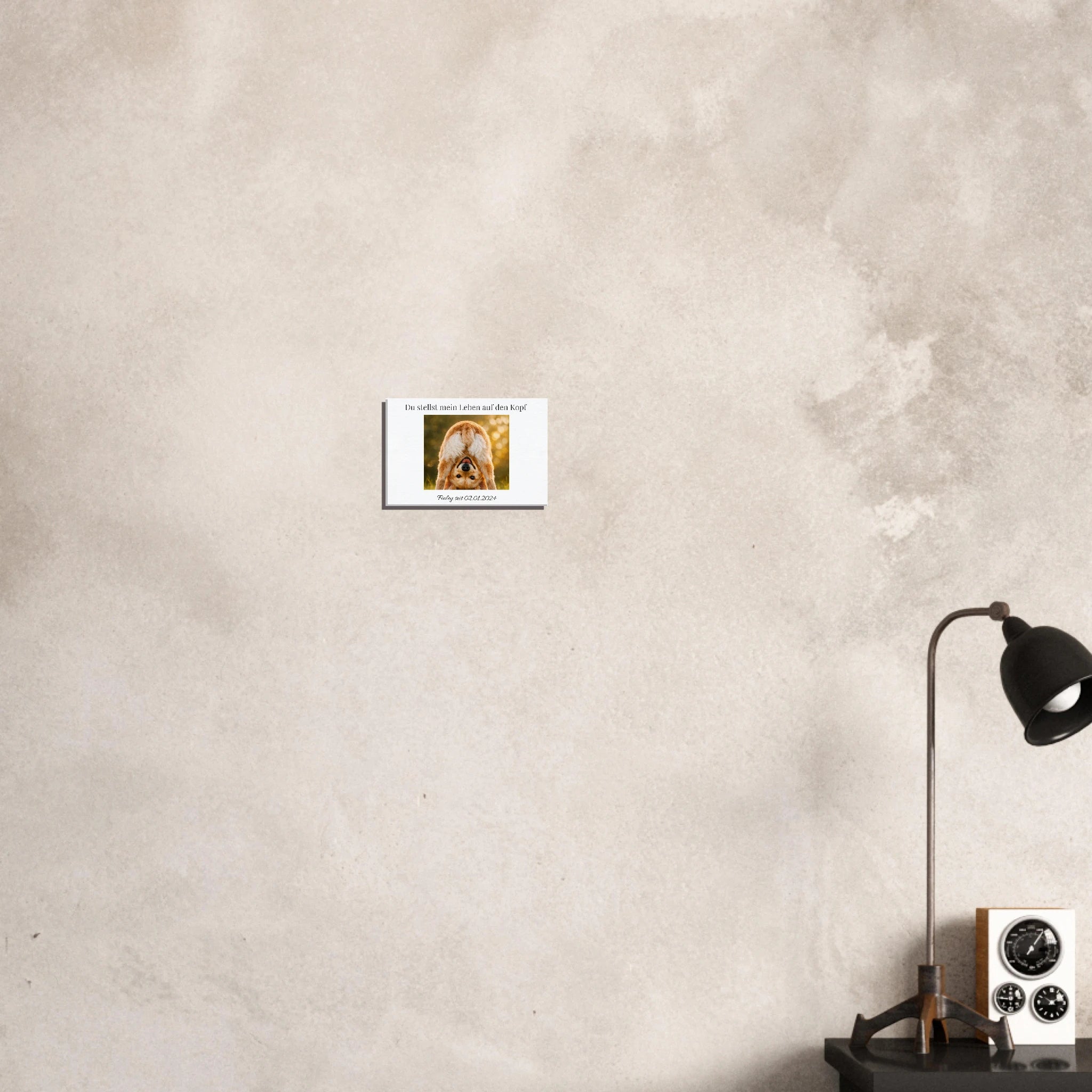 51f58d8b-c927-4d50-bbec-108f0477a5cf