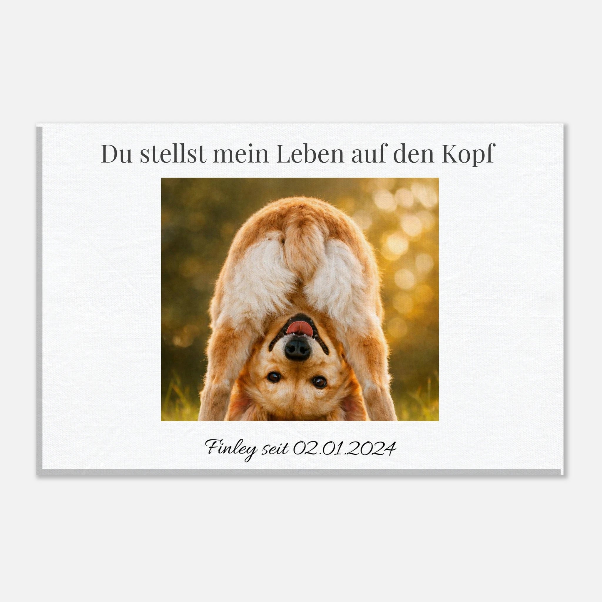 599a4b93-077d-4011-b921-3e9551fb6448