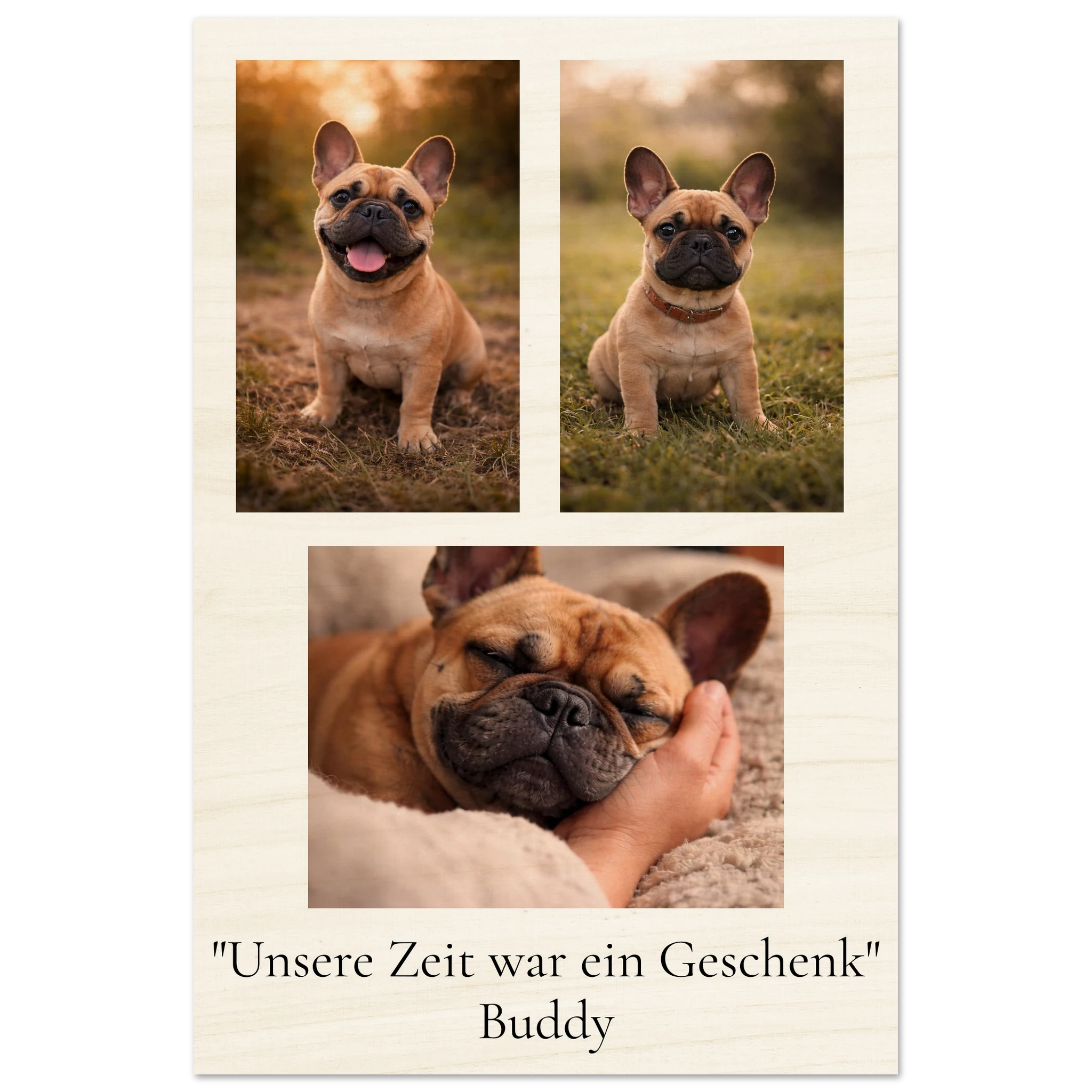 5ed9765b-33b0-4843-9a2f-8183a4e06445