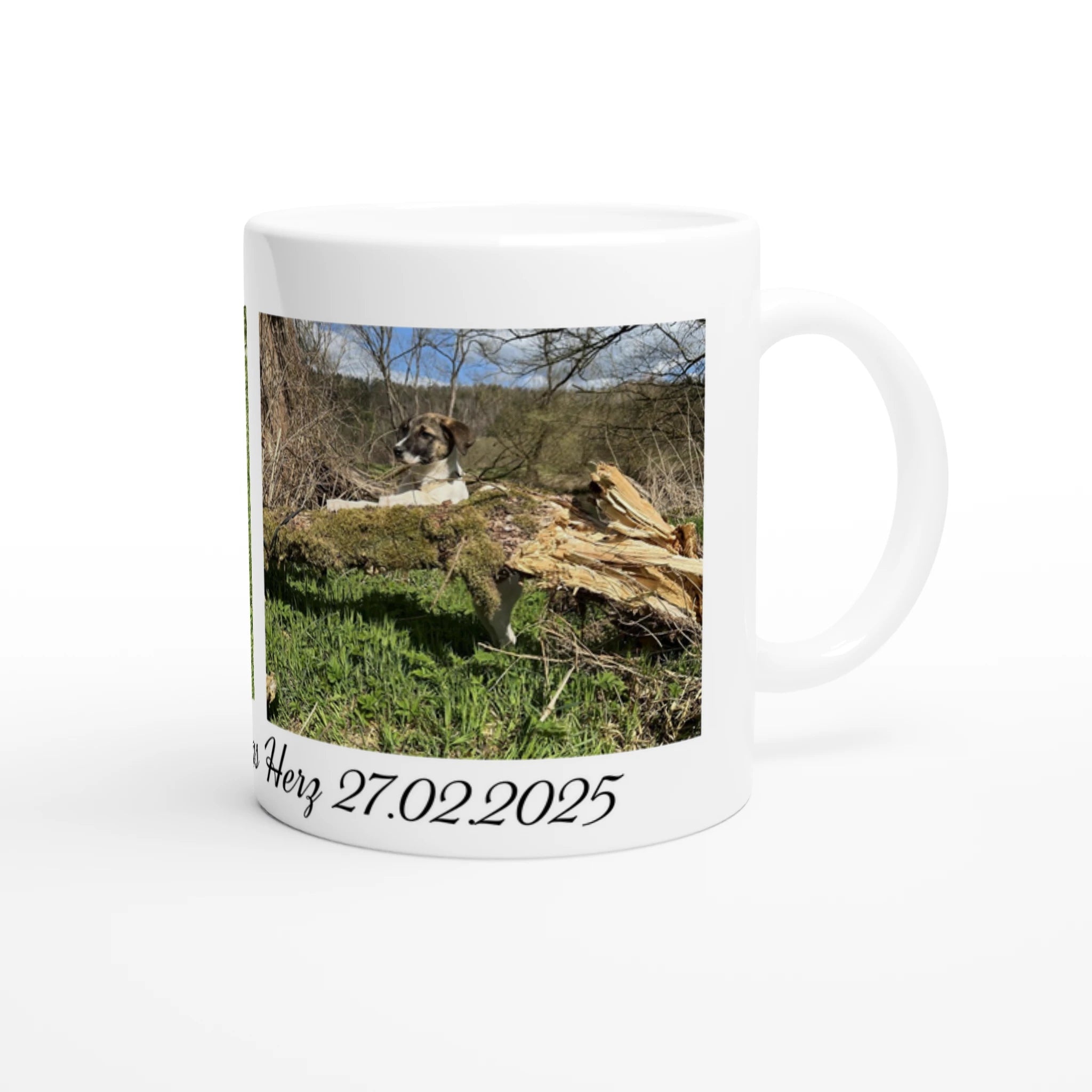 6f705068-b72a-4900-ae5b-a472e2779dd8