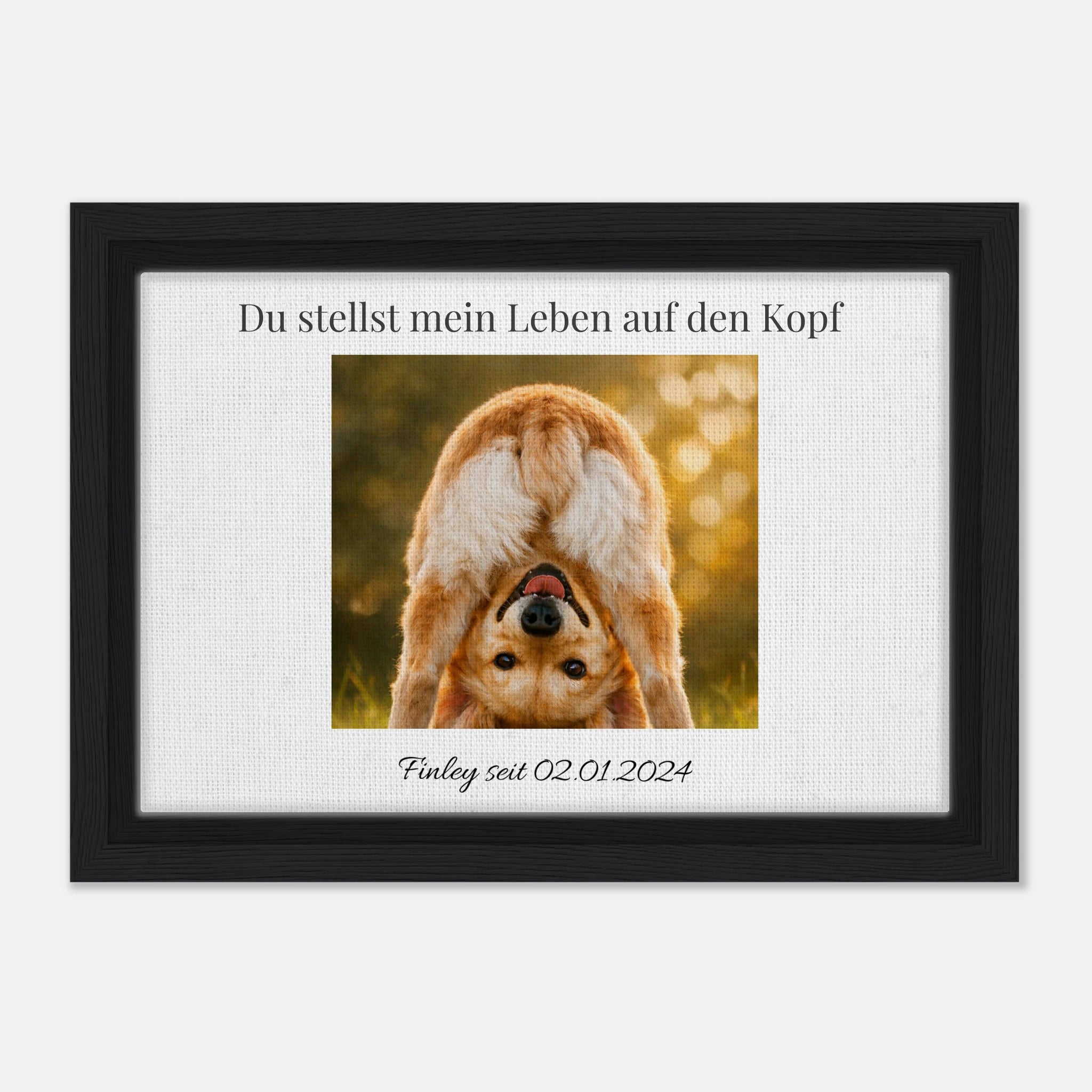 7d311486-4eef-41a4-98f1-4e43a87e9b3e