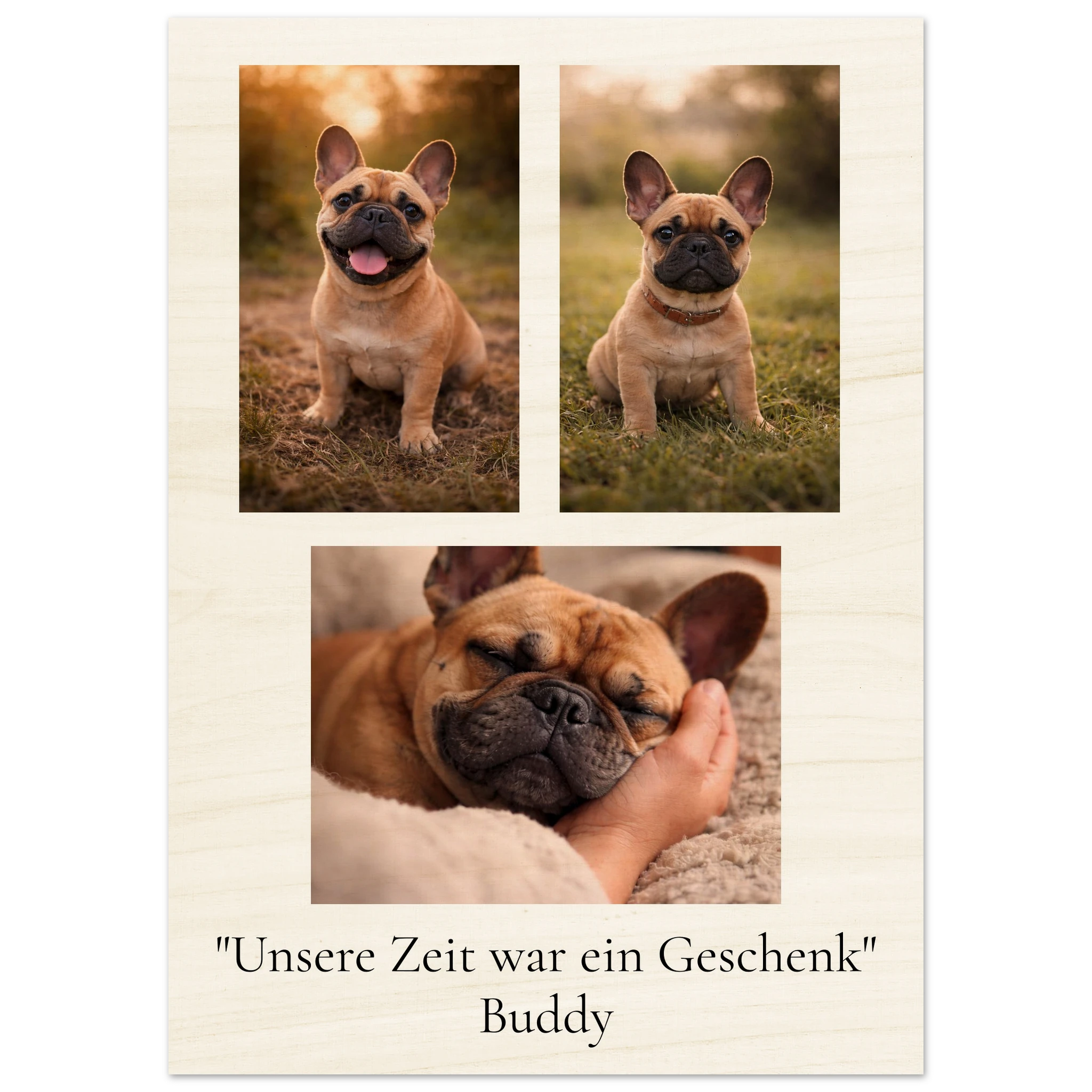 7ec7efe3-d517-40ba-927d-46cda560b444