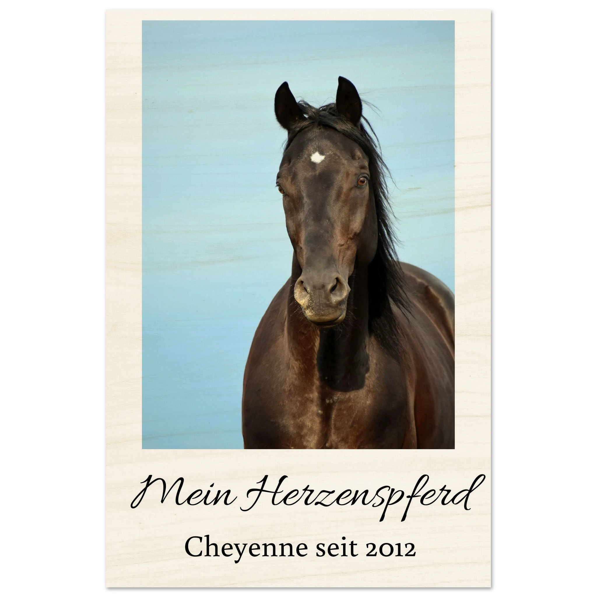 85eddab3-6ba4-491b-b00c-e817a23f4d9f