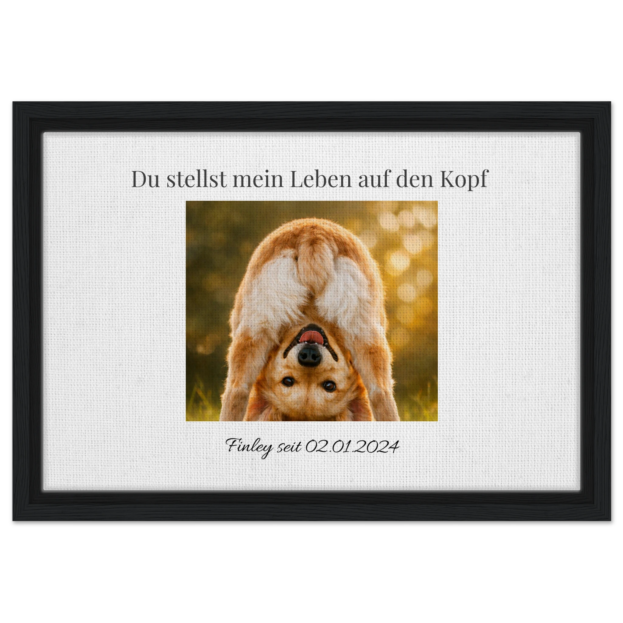 87a15588-370b-4cc2-a94b-e0b01a8af77a