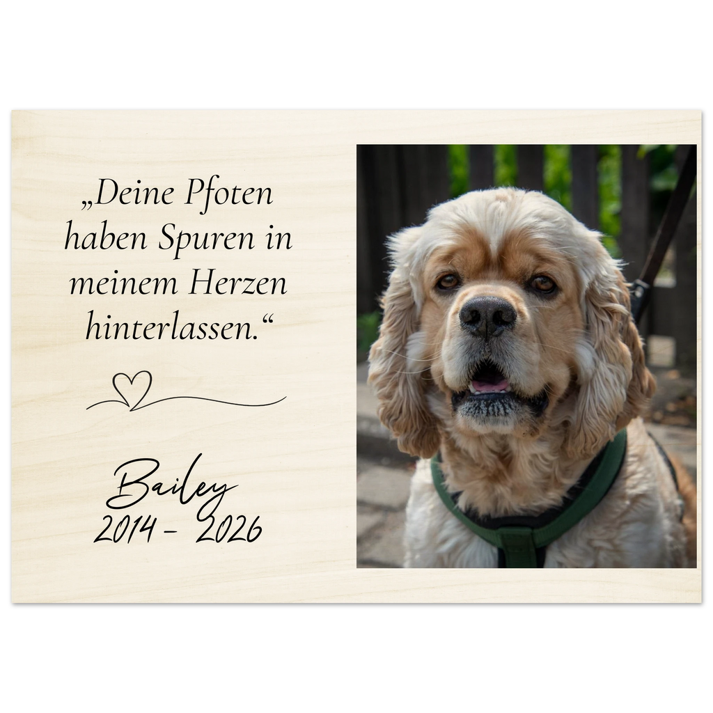 8bd48811-d0f8-425b-9754-31905f0866c2