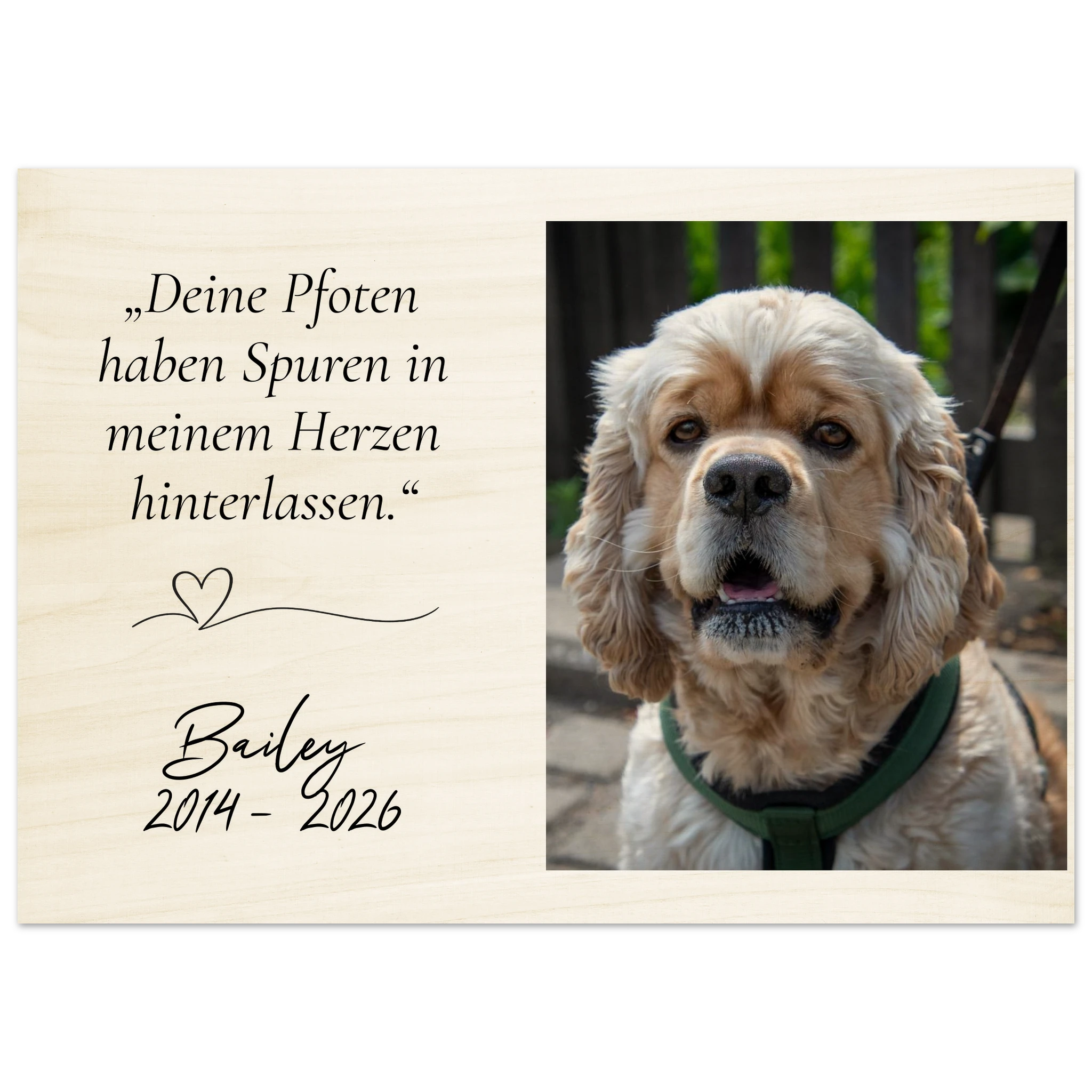 8bd48811-d0f8-425b-9754-31905f0866c2