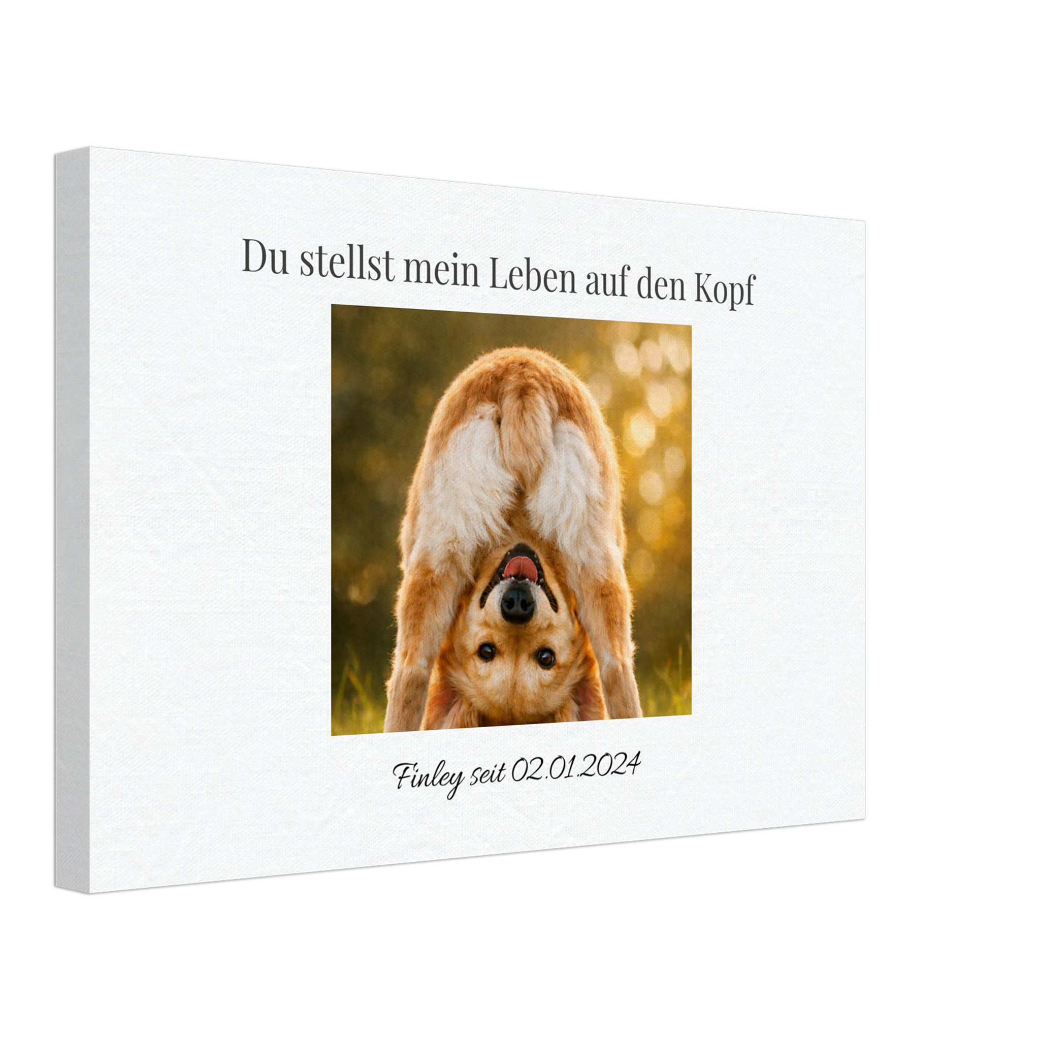 9ebbfb5a-3417-4329-bf44-94884f349b6b