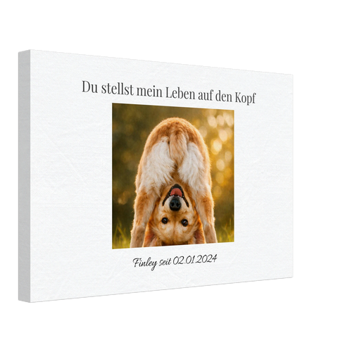 9ebbfb5a-3417-4329-bf44-94884f349b6b