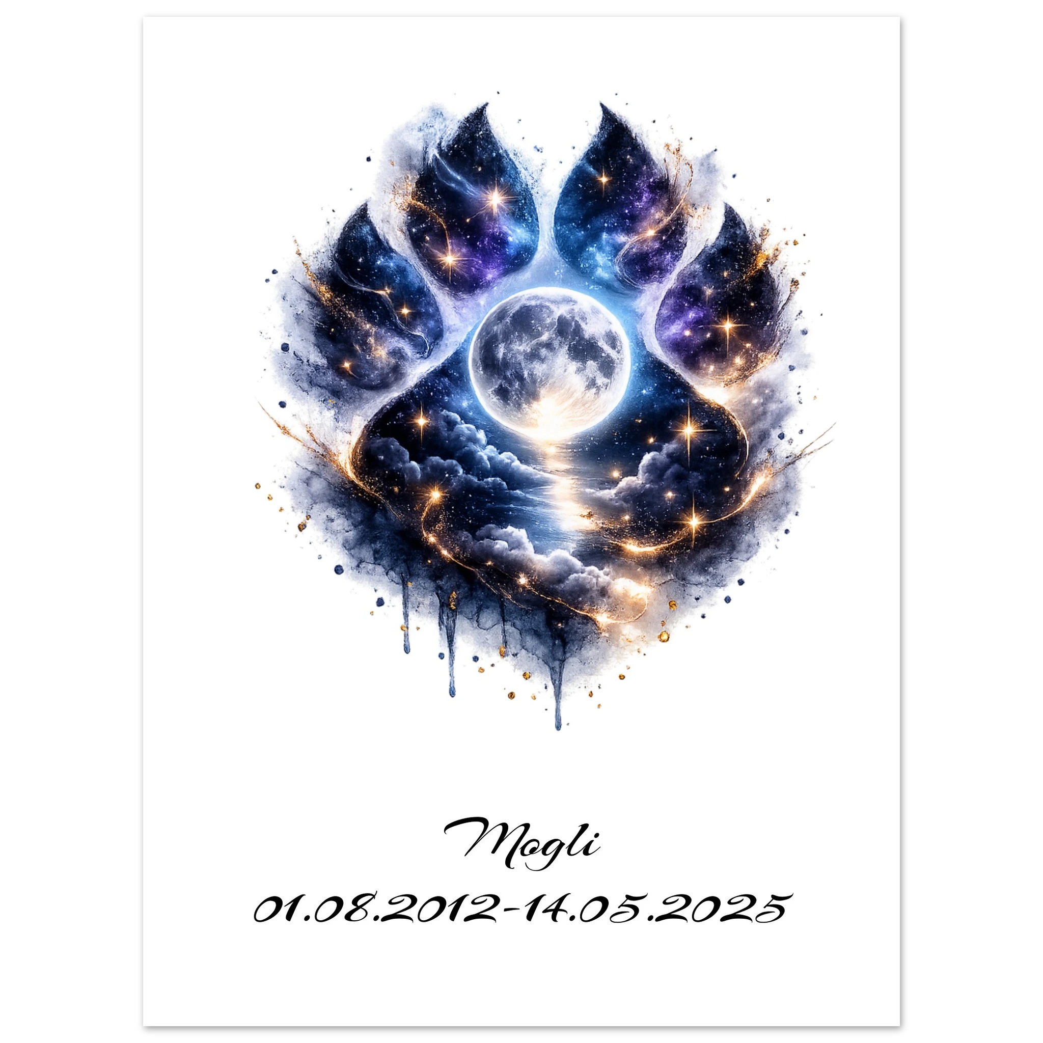 aa70f673-4dfb-4524-b52a-6216bac11993