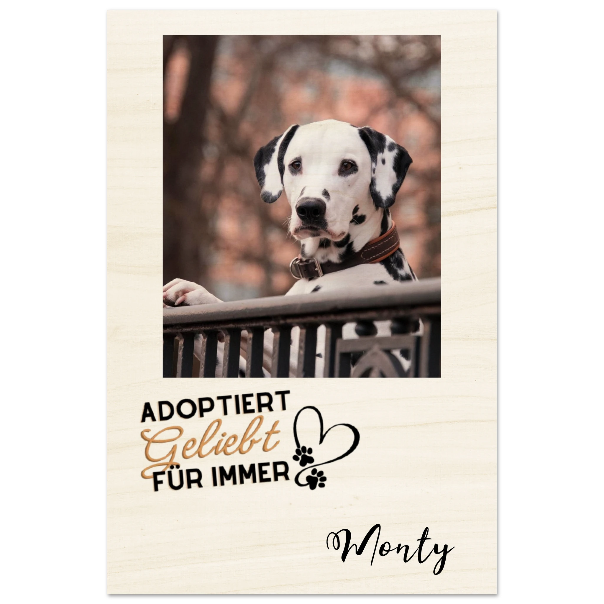 b60100a9-ad29-494e-a6f8-fd8253945ac7