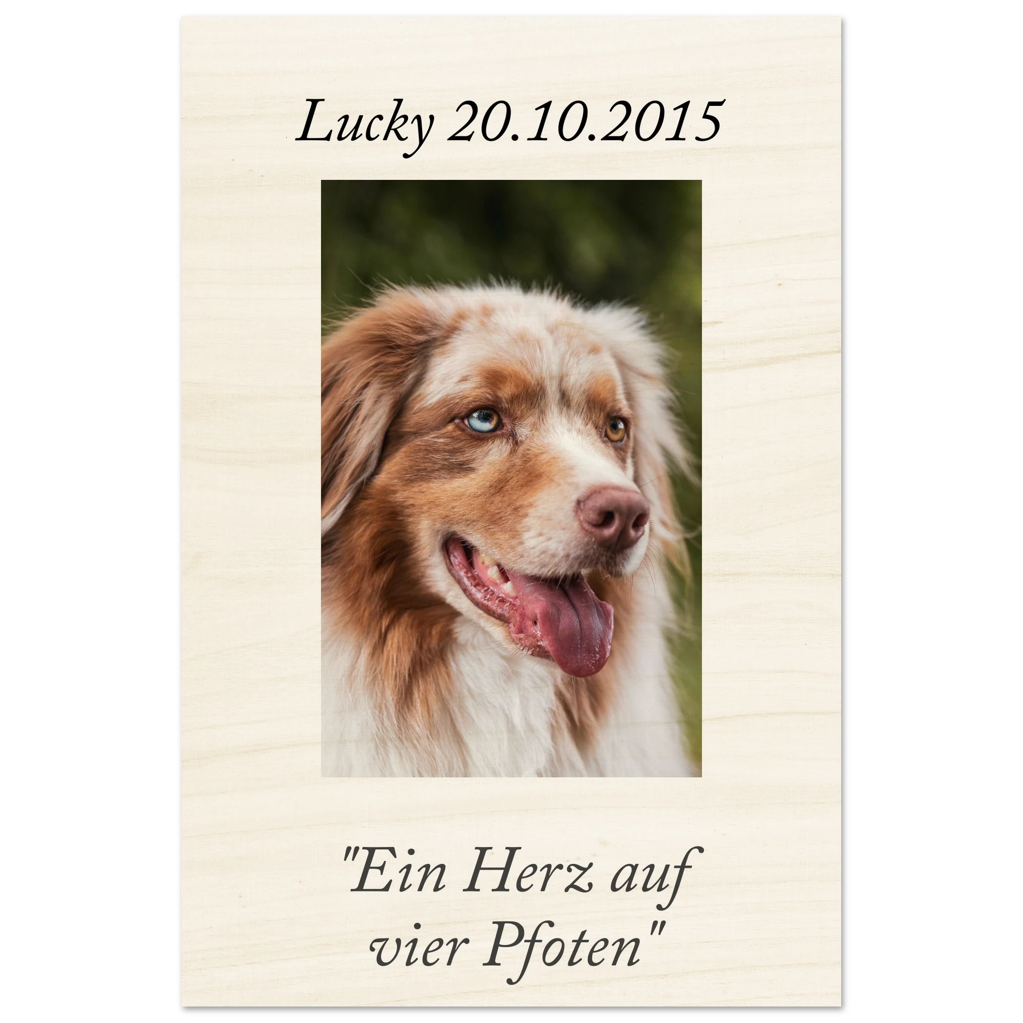 c277a6f7-4cee-45fd-a5b8-5500c50b2674