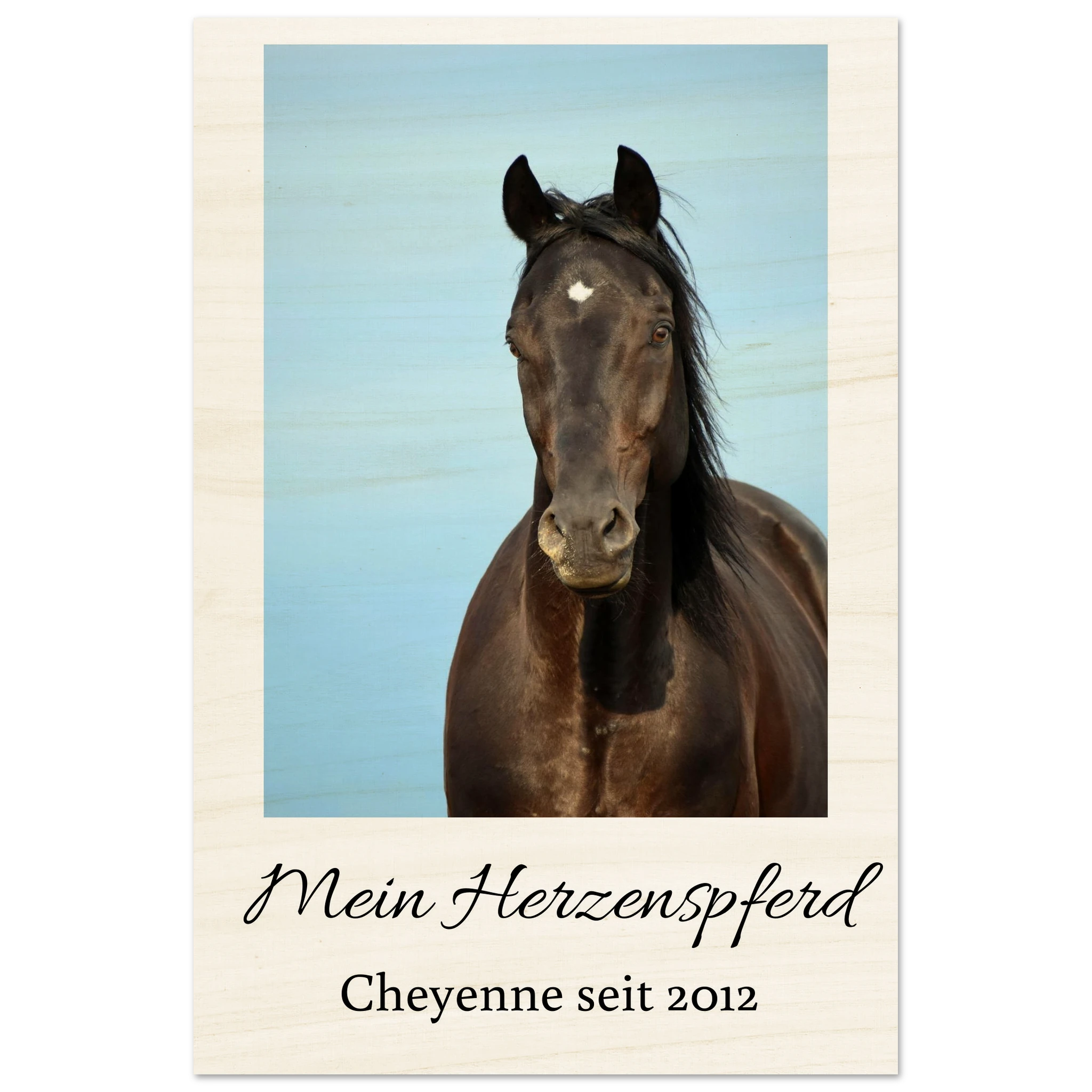 c6b0c1ff-c0d3-45c3-9fa1-f9d1e71a06fa