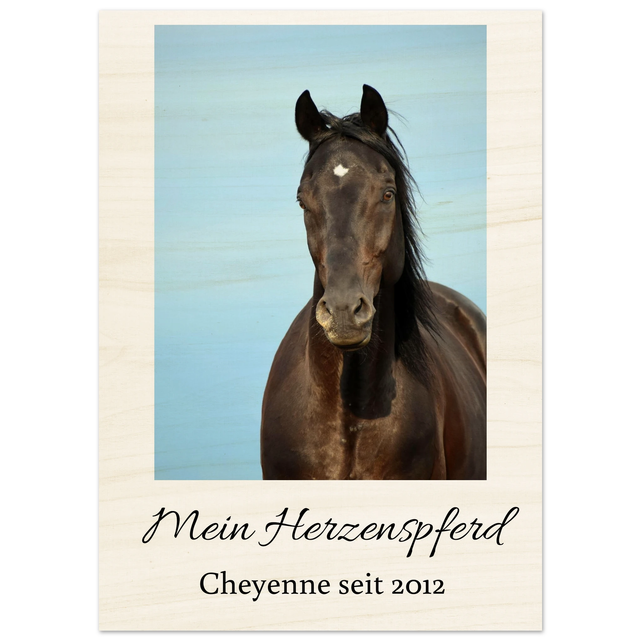 cf1495cc-8b0b-4893-9e64-8c3ec63cdd3c