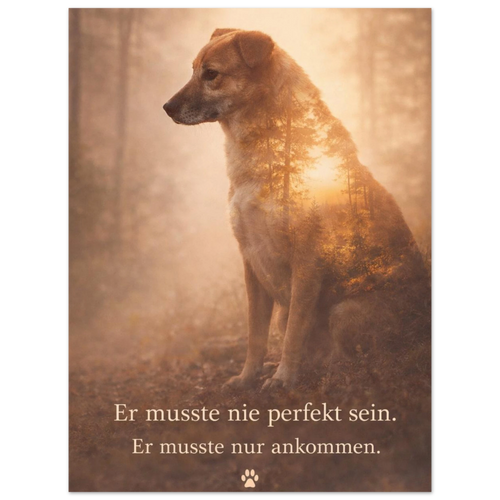 dfc8d75a-4db6-4335-809c-e824b7bd0b25