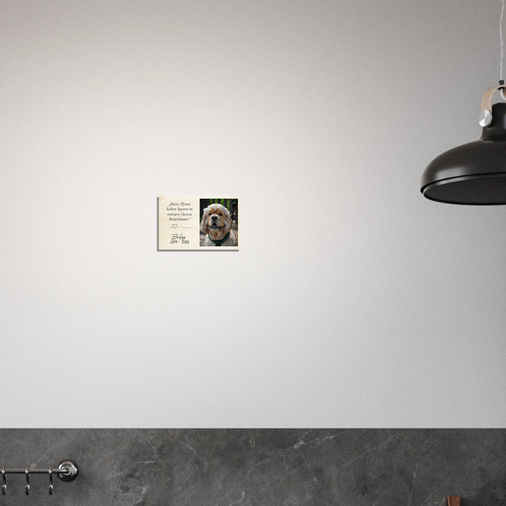 f1910204-8dc4-4119-8c76-a95b1cf95d25