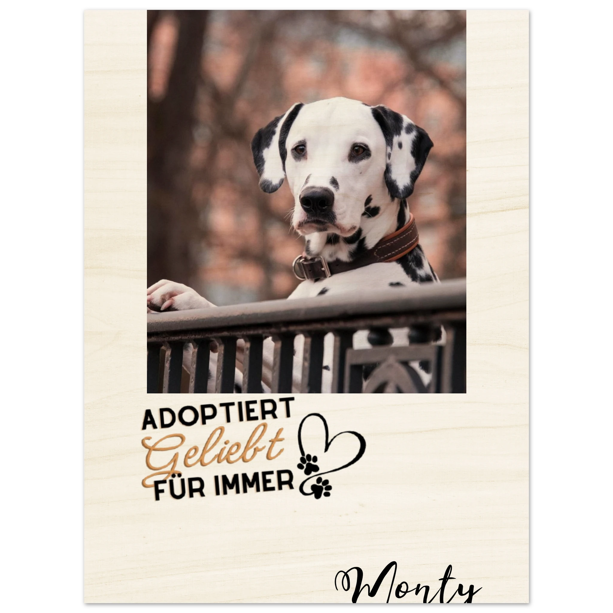 f71c0f97-478b-43b9-89c5-85ea23fbb483