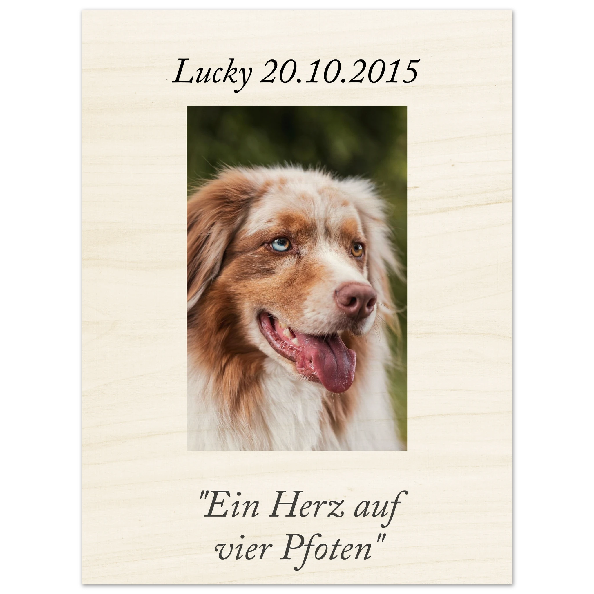 fd008651-5f44-4a7a-bbeb-bf225fc2bf89